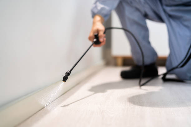 Licensed Cockroach Control service in Beaverton, MI - Nex Pest Control
