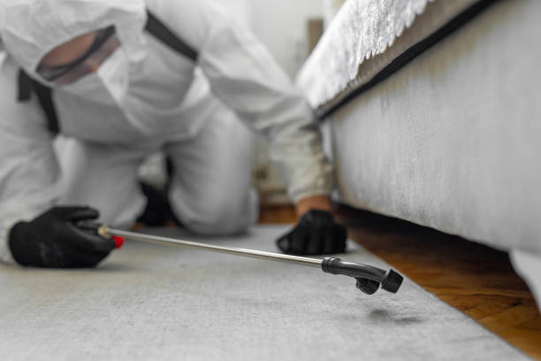 Professional Cockroach Control technician working in Beaverton, MI