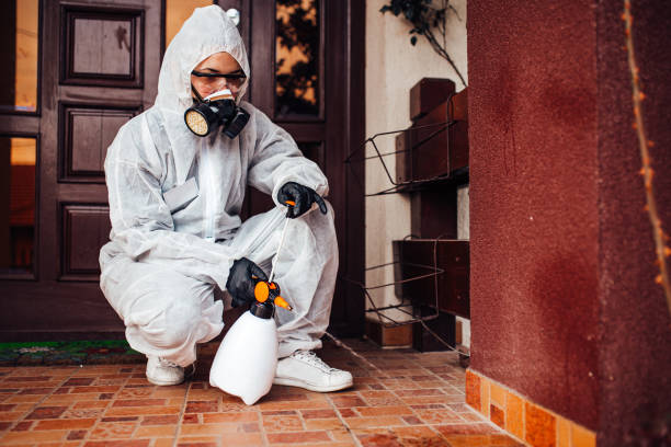 Reliable Cockroach Control contractor in Beaverton, MI by Nex Pest Control